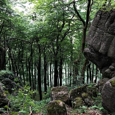 Apartment Hygge Hamelin